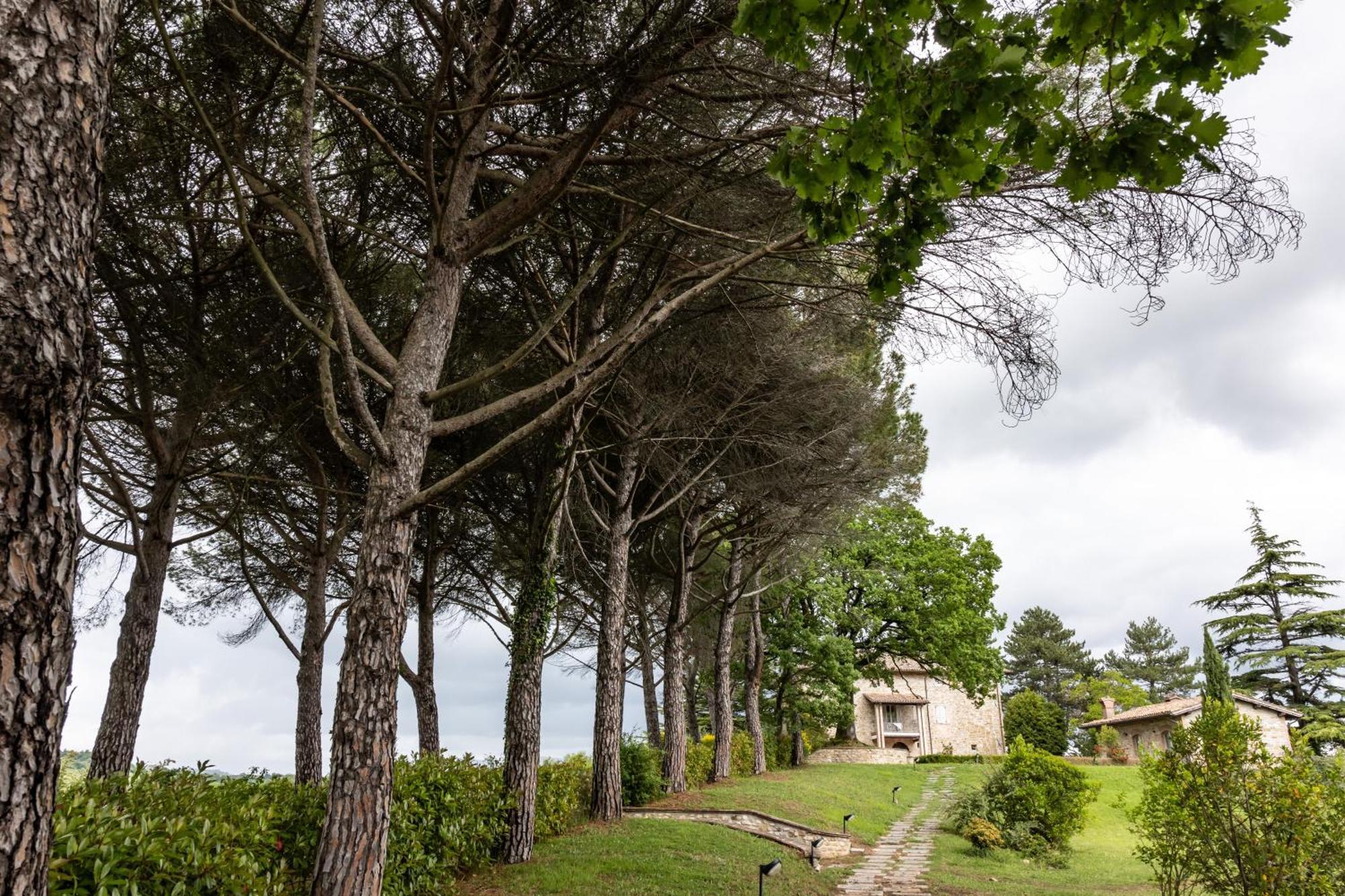 Tenuta Borgo San Michele グッビオ エクステリア 写真