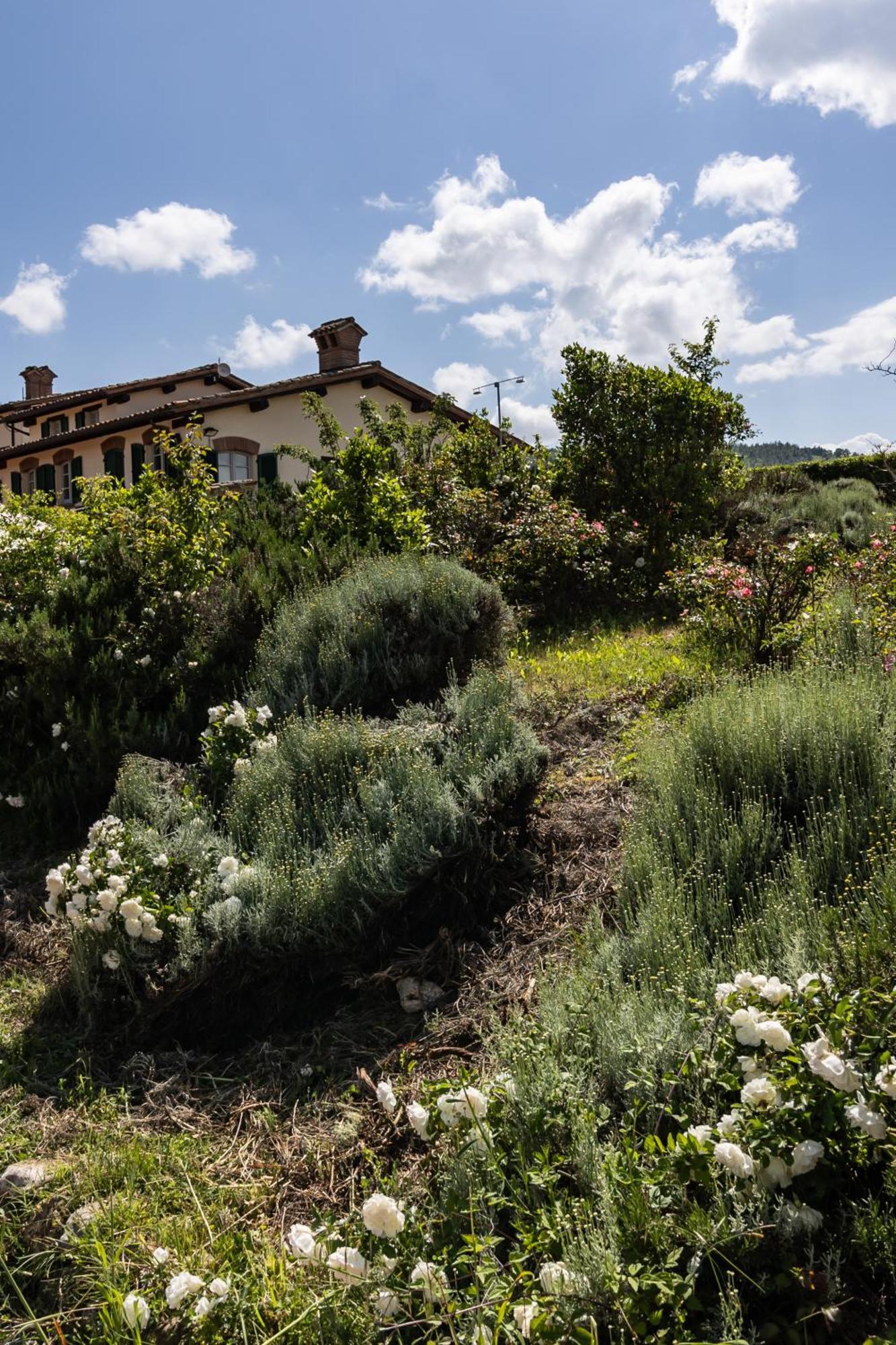 Tenuta Borgo San Michele グッビオ エクステリア 写真